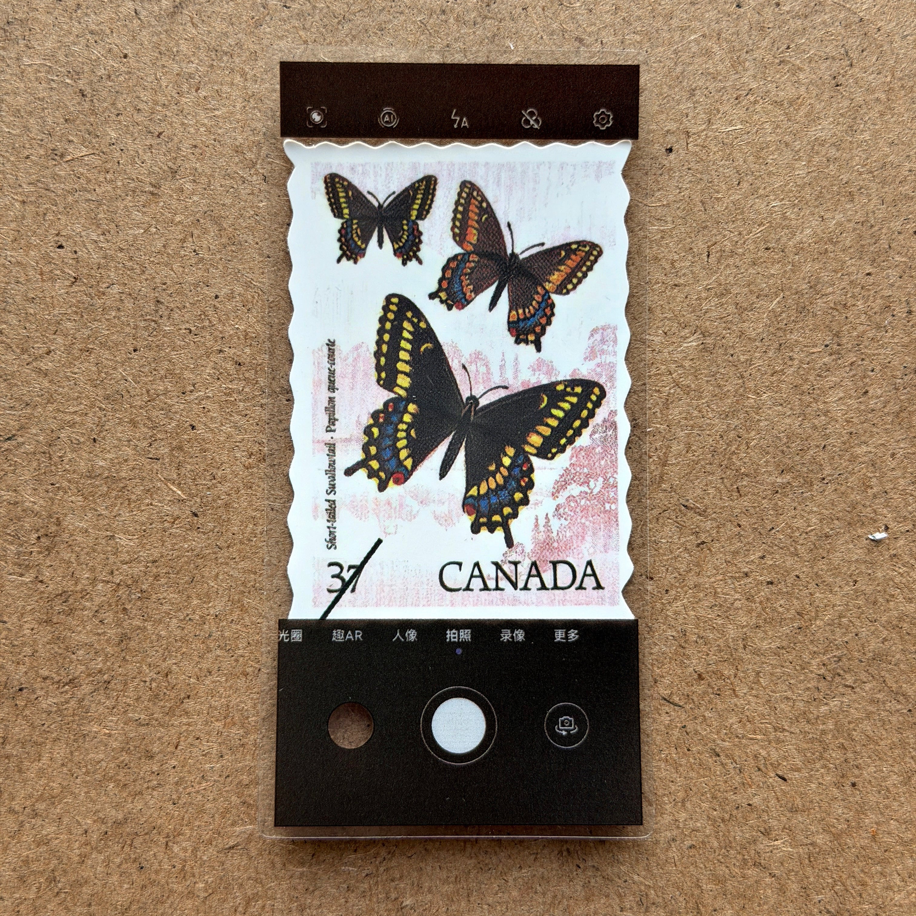 Decorative Photo Frame